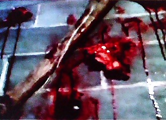 Sexe, fiction et bizarreries