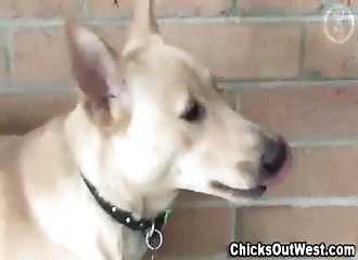 Cette nana attend de se faire baiser