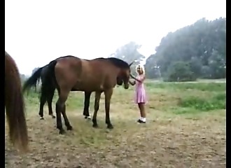 Punie et baisée au bord d'un champ