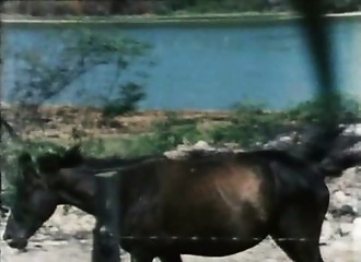 Une belle exotique utilisée comme garage à bites 